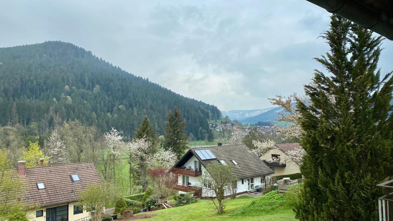 Black Forest Scenic Escape Baiersbronn Exterior photo